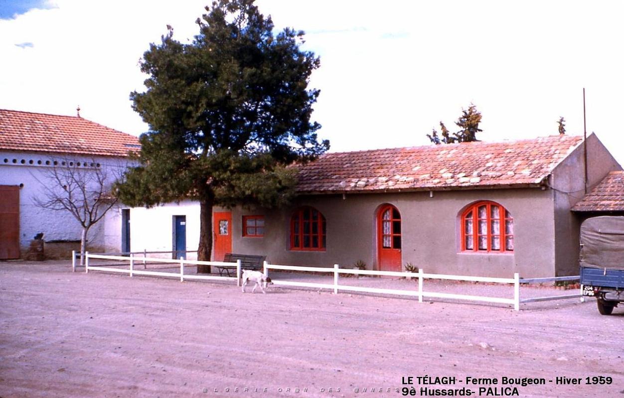 Palica - Le Telagh 032.jpg